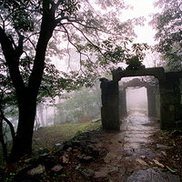 视觉政府3（200*200）